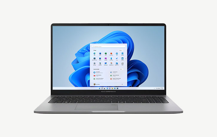 Asus ExpertBook P1